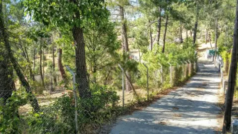 Terreno en calle del Loro
