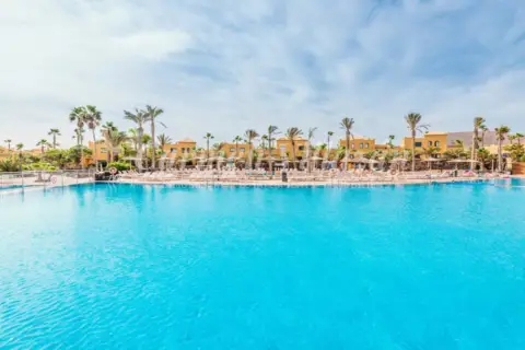 Apartamento en Avenida Pedro y Guy Vandaele