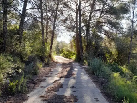Finca rústica en Sant Llàtzer
