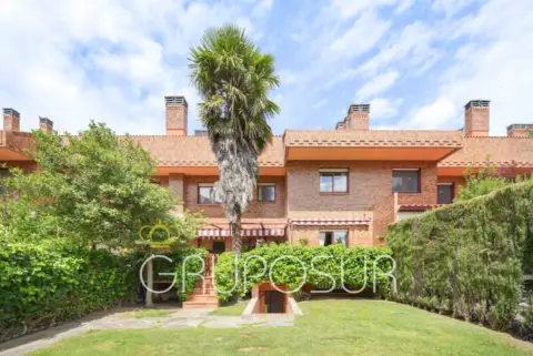 Chalet adosado en Avenida de los Entrepinos