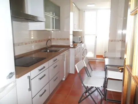 Piso en Avenida de los Pintores