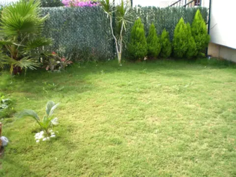 Piso en Añoreta