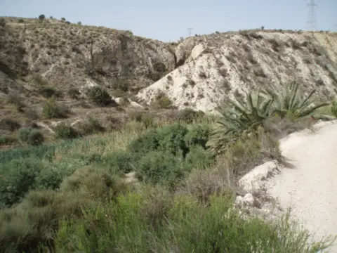 Finca rústica en calle Monegre
