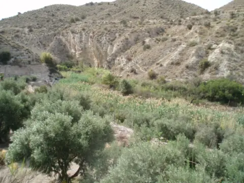 Finca rústica en calle Monegre