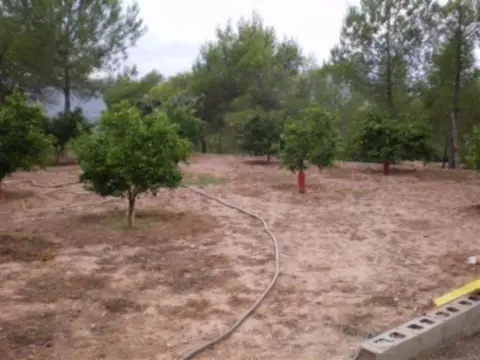 Finca rústica en Sagunto