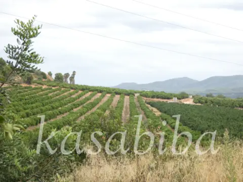 Finca rústica en Polígono 9 y Parcela