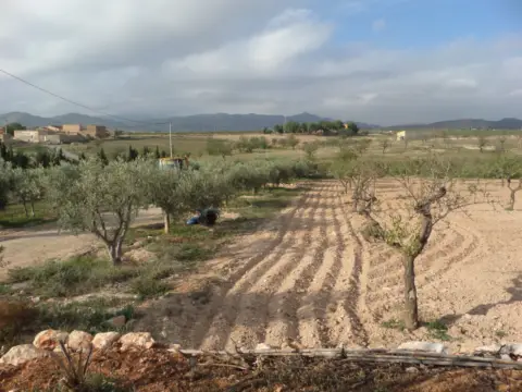 Terreno en Campo Nubla-Tallante
