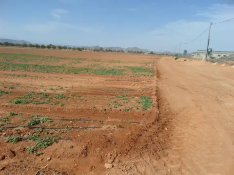 Terreno en Los Roses