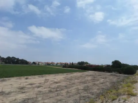 Terreno en Los Alcazares