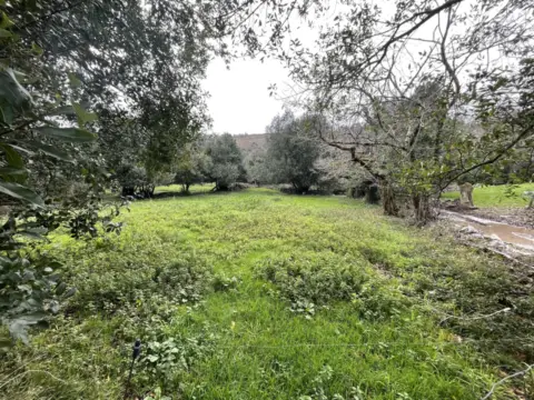 Terreno en calle Villahormes, nº 1