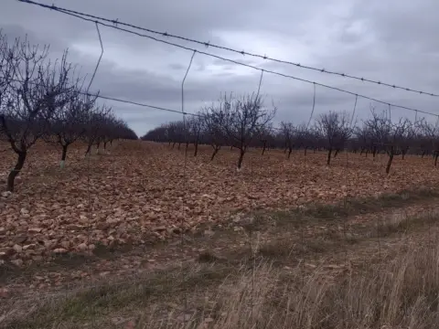 Finca rústica en calle Termino de Daimiel