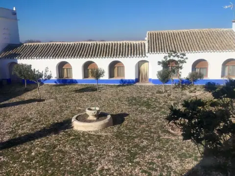 Finca rústica en callejón Termino de Alcázar de San Juan