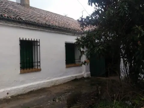 Casa en calle calle Miguel de Cervantes