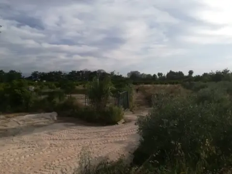 Finca rústica en Carretera Ortuños
