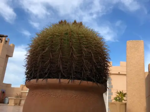 Ático en Urbanización Castillo de Mar , nº 5