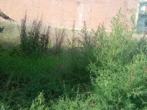 Terreno en Carrer del Segrià