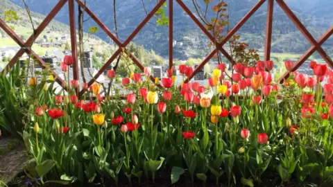 4-bedroom duplex for sale in La Massana · 17 of 60
