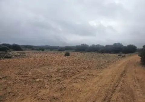 Finca rústica en Casas de Lazaro