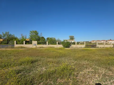 Terreno en La Gineta