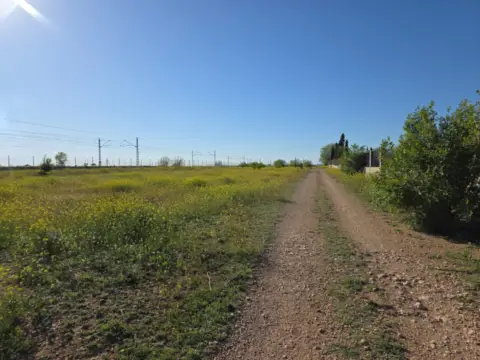 Terreno en La Gineta