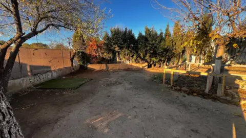 Finca rústica en Santa Cruz-San Antonio Abad-Industria, Cañicas