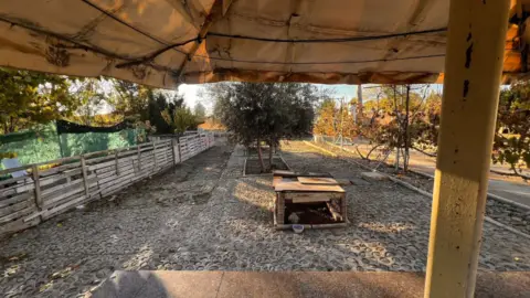 Finca rústica en Santa Cruz-San Antonio Abad-Industria, Cañicas