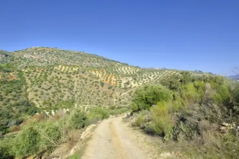Terreno en calle Quinta de La Pesquera, nº 1