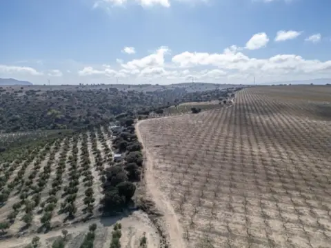 Finca rústica en calle El Cejo