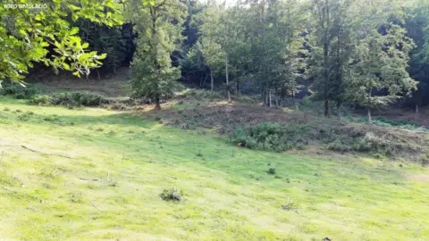 Terreno en Residencial El Pinos