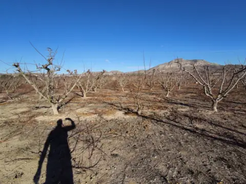 Terreno en Jumilla