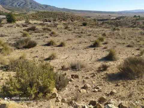 Terreno en Jumilla