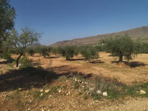 Terreno en Jumilla