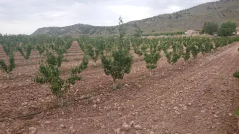 Finca rústica en Pasaje Las Encebras, nº 1