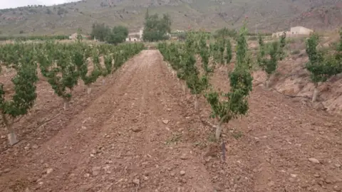 Finca rústica en Pasaje Las Encebras, nº 1