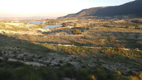 Finca rústica en Ojós