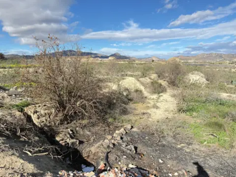 Finca rústica en Villanueva del Río Segura