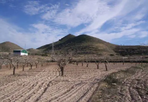 Terreno en Campo Nubla-Tallante