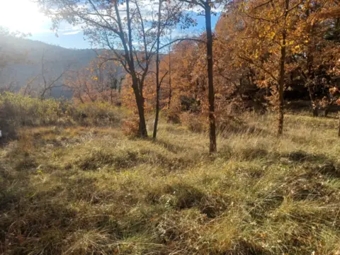 Terreno en Muntanyola