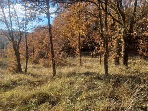 Terreno en Muntanyola