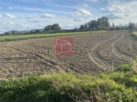 Terreno en Villanueva de La Serena