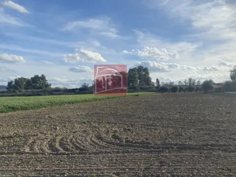 Terreno en Villanueva de La Serena
