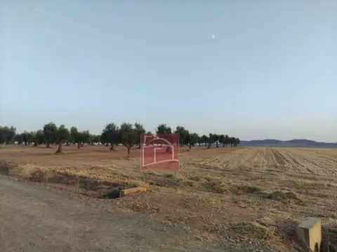 Finca rústica en Villanueva de La Serena