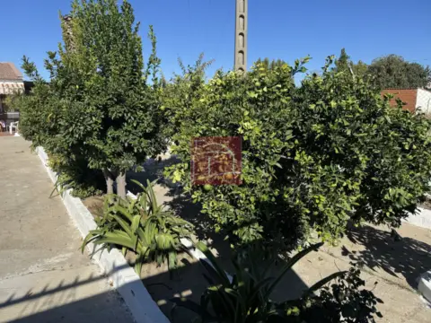 Chalet rústico en Villanueva de La Serena