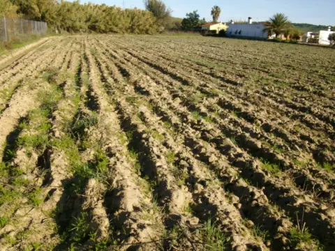 Rural Property in Villanueva de La Serena