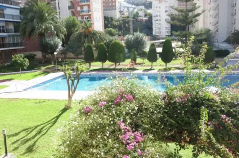 Piso en Avenida Marina Baixa