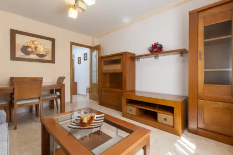 Piso en Avenida de los Reyes Católicos