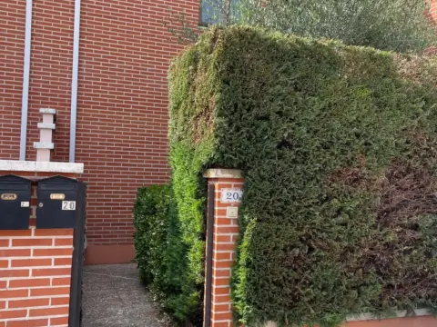 Chalet adosado en calle del Palomar