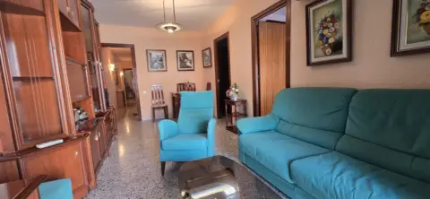 Piso en Paseo Lorenzo Serra