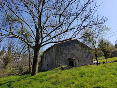 Finca rústica en calle Bo. La Vega