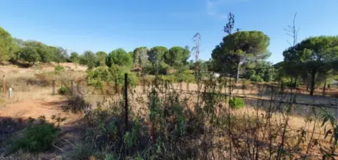 Finca rústica en Valverde del Camino